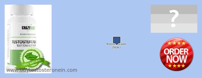 شراء Testosterone على الانترنت Bouvet Island حيث لشراء Testosterone على الانترنت Bouvet Island
